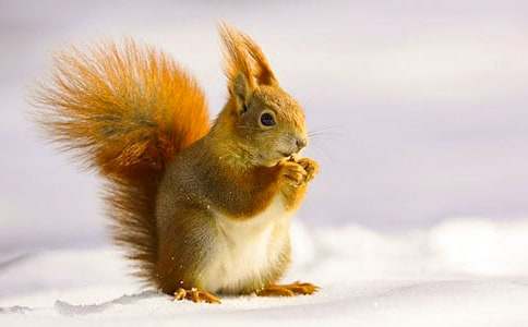 �����M�ҁ������󡷃���̌W�OӋ��ͨ��12ƪ��