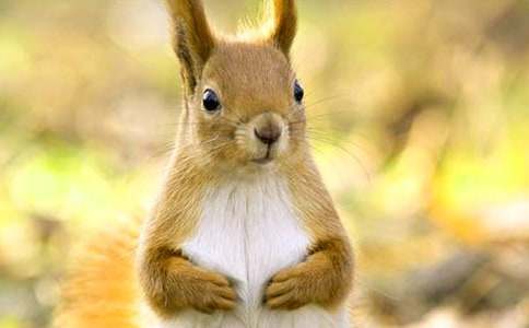 С�����������ͯԒ����