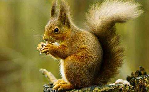 �����󡷵ڶ��n�r�̌W�OӋ�����x27ƪ��