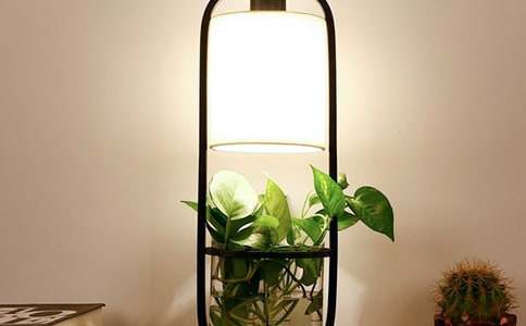 �؄e���_����һ����