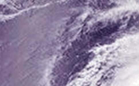 �_�L���˶�ƪ����