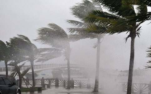 �B�T�_�LĪ�m�����ģ����x15ƪ��