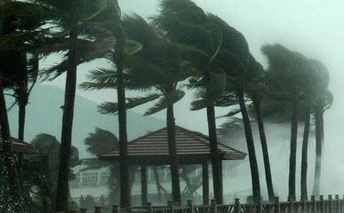 臺風來了的作文