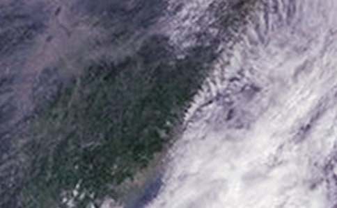 �_�L��������