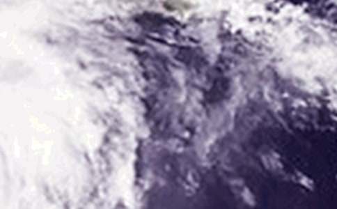 �_�L����������300��