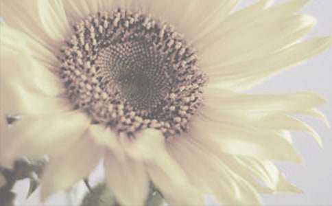 ̫ꖻ���ͯԒ����