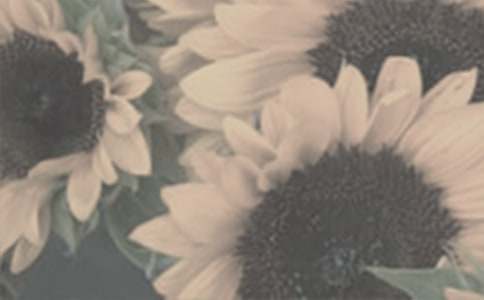 �茑̫ꖻ��ă������ģ����x21ƪ��