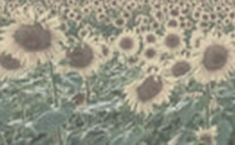 �Ґ�̫ꖻ�С�W����