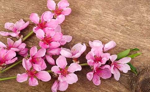 ȥ�҈@�p�һ�����