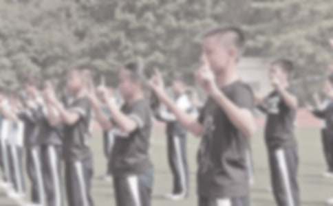 С�W�w���̌W�������Y��ͨ��20ƪ��