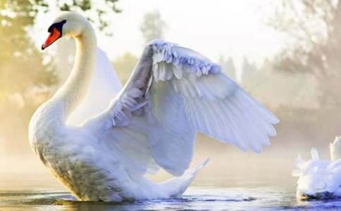 �P�����Z��Ԣ�Թ���