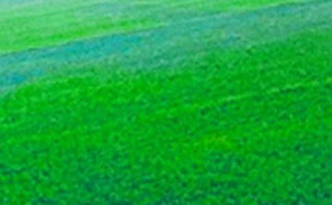 �l����Ұ���ąR����ƪ