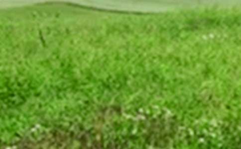 ������Ұ�L����