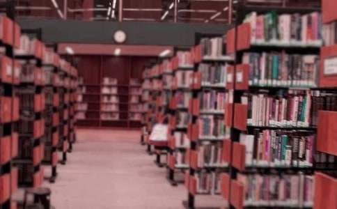 �������x�D������