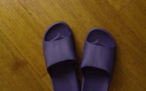 小紅皮鞋和小狗拖鞋作文