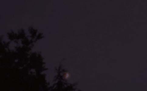 ��������������ͨ��295�䣩