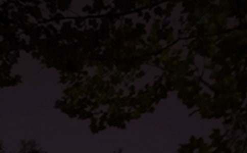 ������־�������Z�