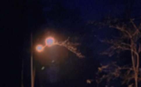 ���ε�Ψ������������Ȧ�����Z34��