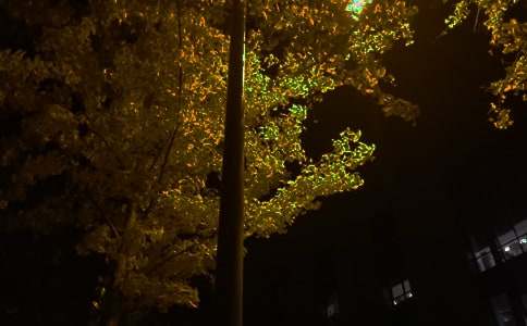 簡潔的溫馨的晚安QQ問候語47句