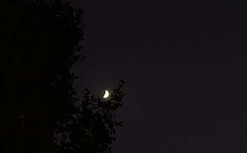 ���P���õ����������Zժ�38��