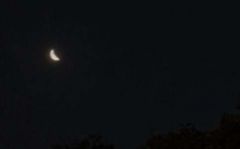 �����ҵ�����ͯԒ����