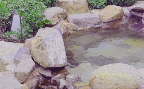 �P�ڜ�Ȫ����500����ƪ