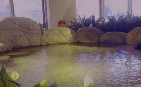 我發現了泡溫泉的痛苦和快樂作文(通用45篇)