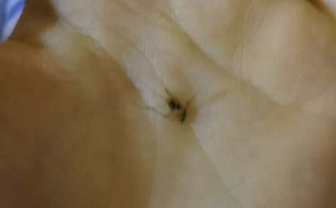 �^����������(���\5ƪ)