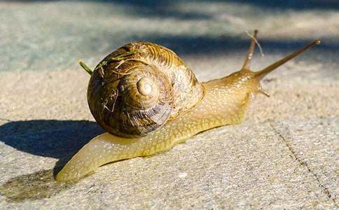 �茑�^��΁ţ��������ƪ