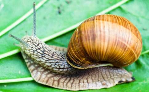 �^��΁ţ����(����15ƪ)