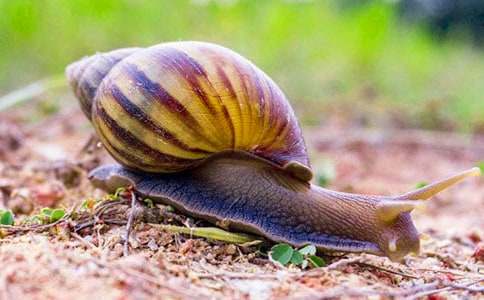 ΁ţ�������wͯԒ���ģ����x66ƪ��