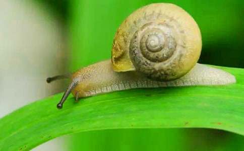 �^��΁ţ���~������