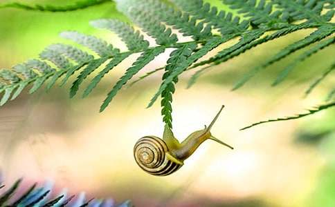 �^��С΁ţ���꼉����