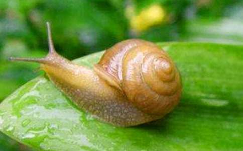 ΁ţ���^�샞������