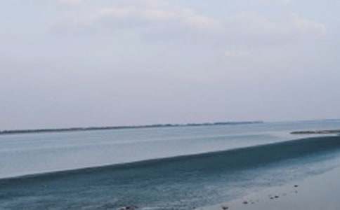 我們看海去小學作文800字