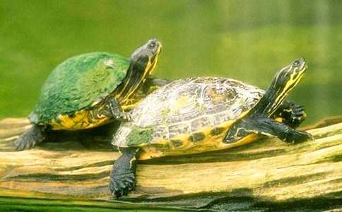 �����ؚw����ȻС�W��������