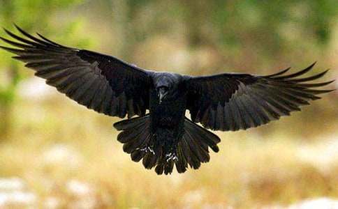 ���f��ˮ�m��300������