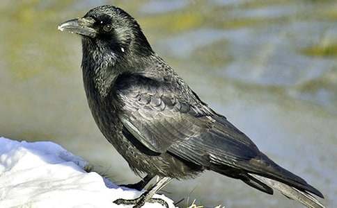 ���f��ˮ�Č�����