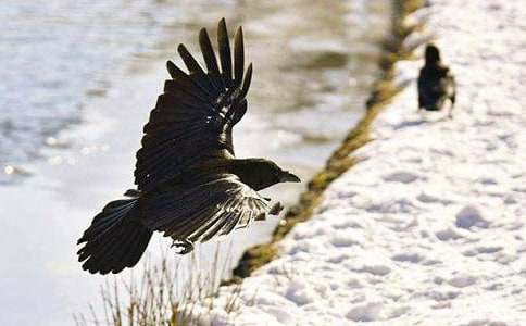 �ڿʵĞ��fԢ�Թ���