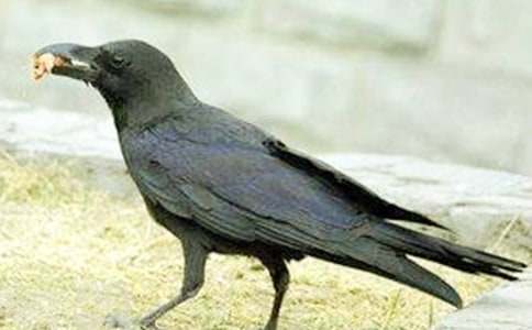 С���f�ۋ������ģ����x24ƪ��