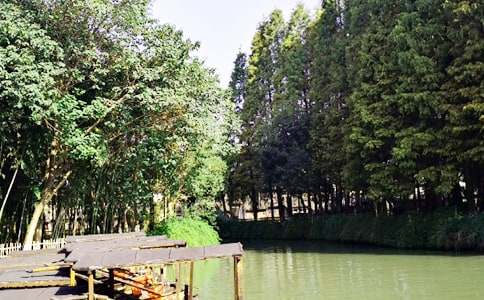 水鄉烏鎮初二作文