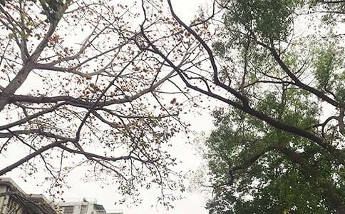 �簲��־�Z�