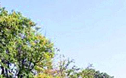 2020��Ψ�����簲���Z΢��ժ�38�l