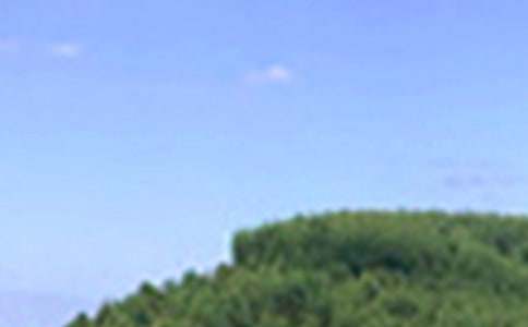 ���õ��簲���ZQQ�\��67�l