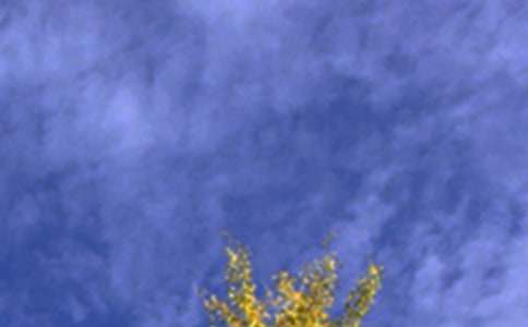 2024�����õ��簲QQ�����Z�ϼ�85�l