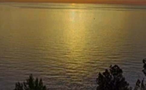 2025�����õ��簲΢�ņ����Z����73��