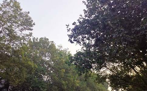 �P��ů���簲���Z�R�������x100�䣩