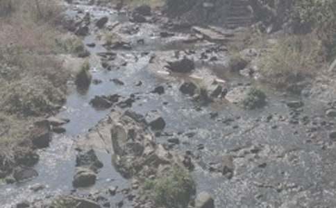 ����СϪ��Ԣ�Թ���