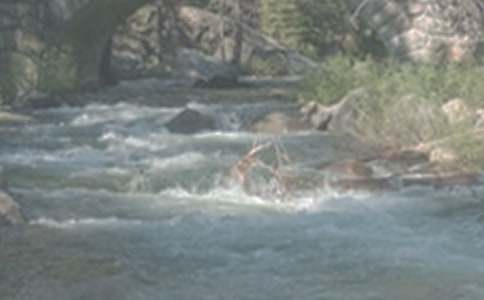 СϪ������������