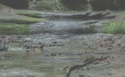 СϪ�����������ľ��x�����x15ƪ��